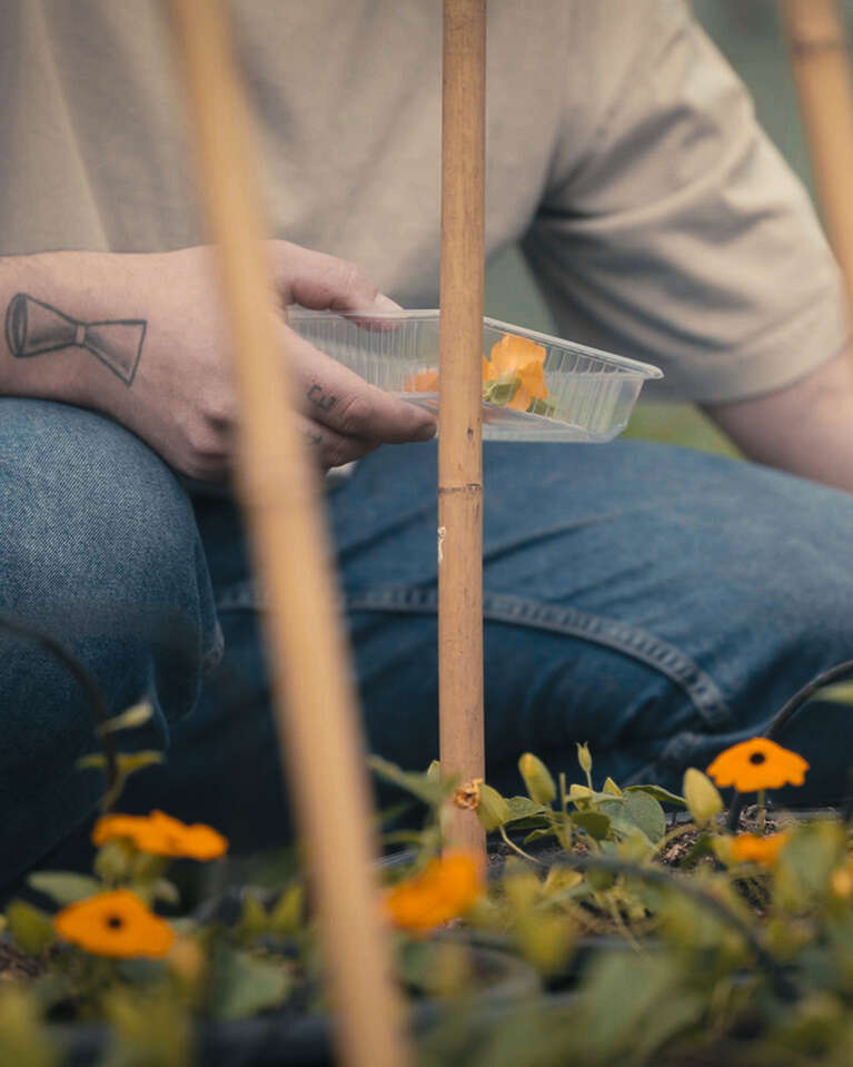 Gathering flowers