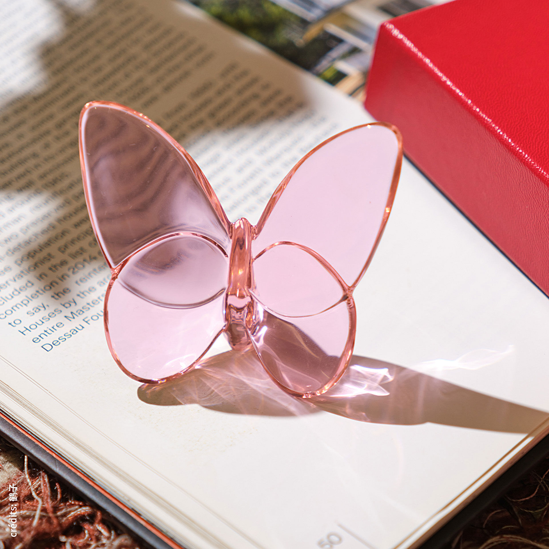 Lucky Butterfly | Baccarat