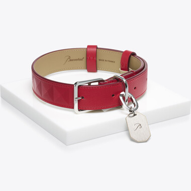 Louxor Pet Collar,